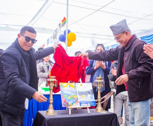 Prime Fun Fiesta 2080: A Day of Joy, Discovery, and Creativity